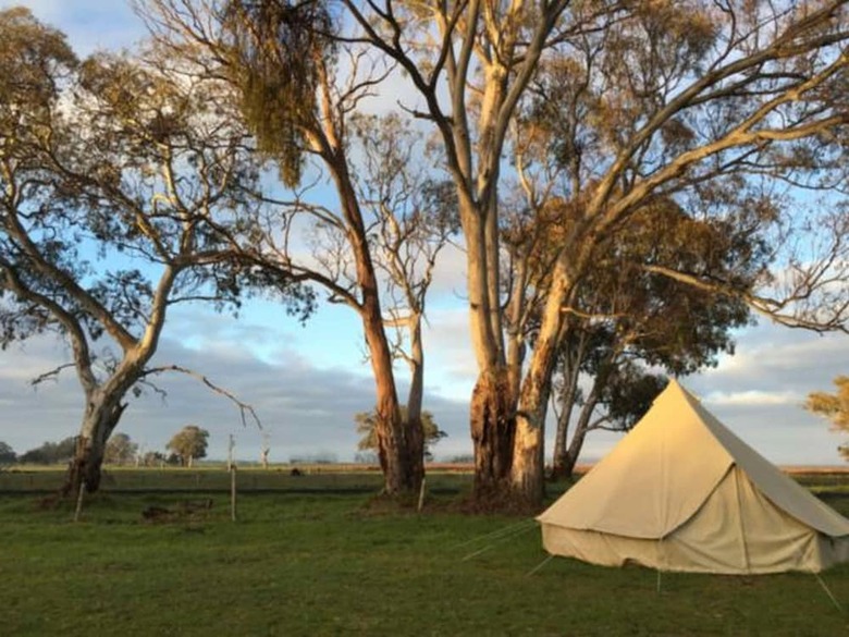 Coonawarra Bush Holiday Park