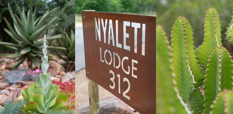Posada Nyaleti Lodge