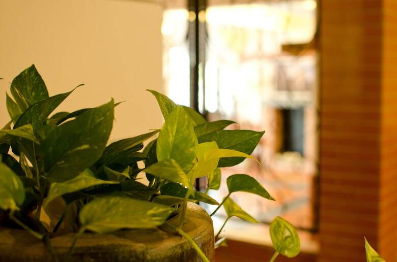 Hotel Mydream Homestay