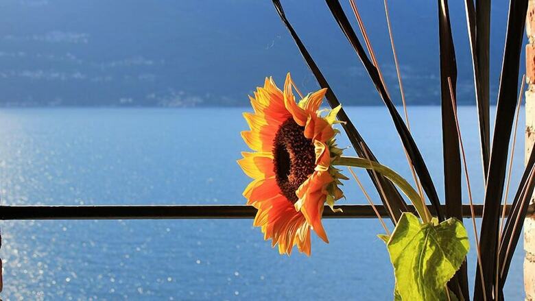 Bed & Breakfast Villa Marina - Como Lake