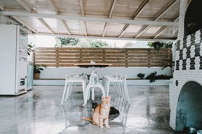 Bed & Breakfast Tenday Homestay