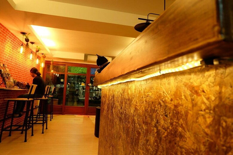 Hostal Fellow Hostel