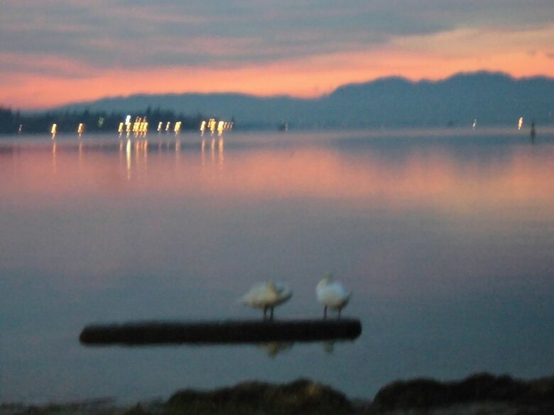 Hotel Benaco Bee Free