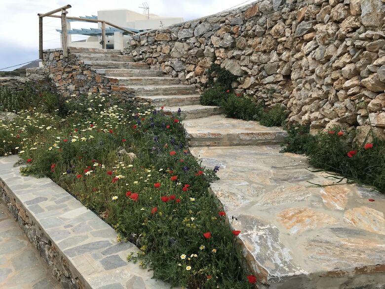 Hotel Kaminaki Amorgos Studios & Apartments