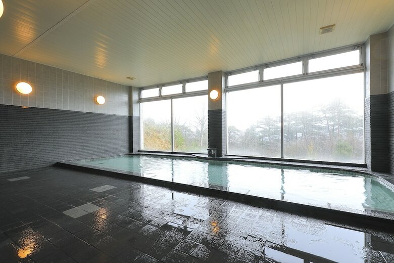 Hotel Terrace Resort Asago