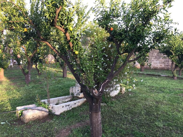 Agroturismo Agriturismo Arangea