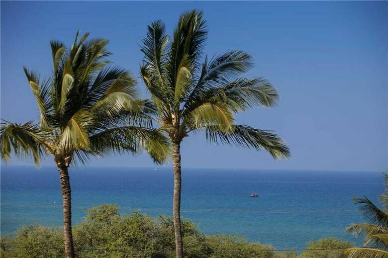 Maui Kamaole M-104 - 1 Br Condo