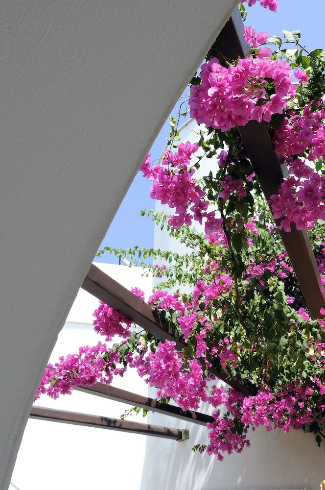 Hotel Sunrise Paros