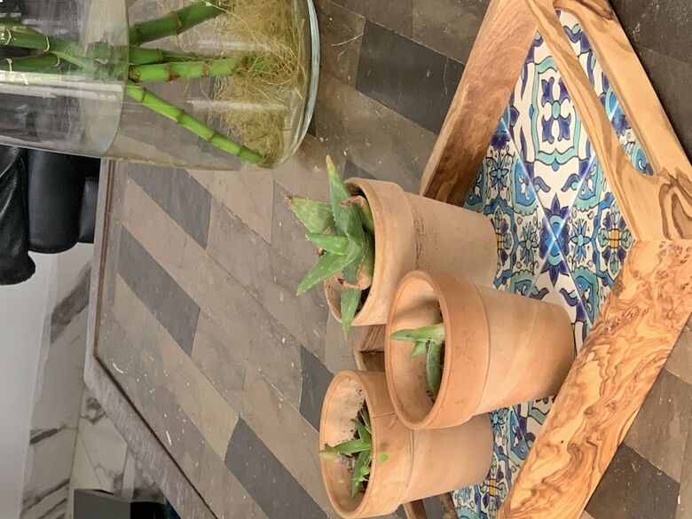 Hotel Dar El M�a Guesthouse Maison D'h�tes