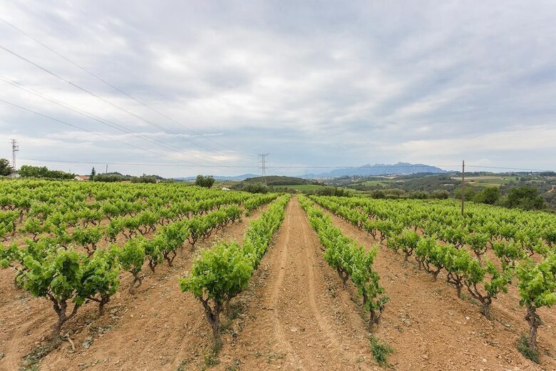 Agroturismo Masia Can Canyes & Spa