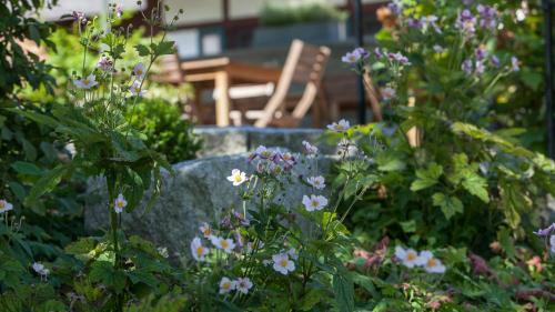 Hostal Gasthaus Zum Hirsch