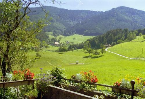 Agroturismo Blumbauernhof