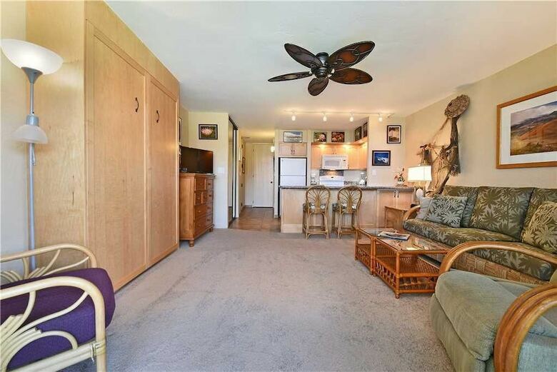 Papakea #b207 - Studio Condo