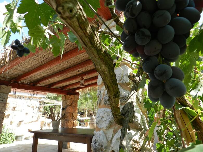 Bed & Breakfast Macchia Salentina