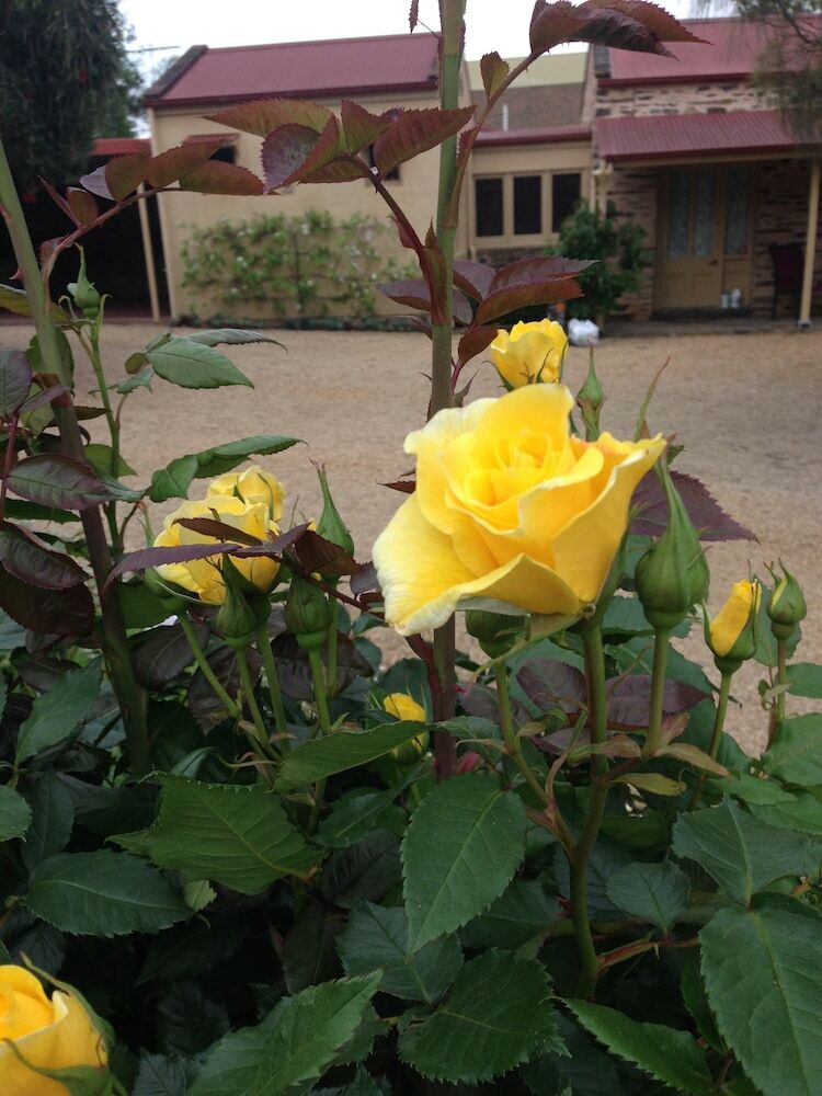 Bed & Breakfast Strathalbyn Gasworks