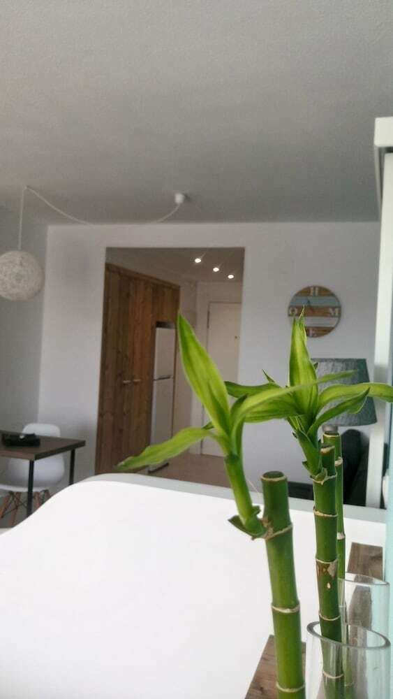 Apartamentos Estudio Ally