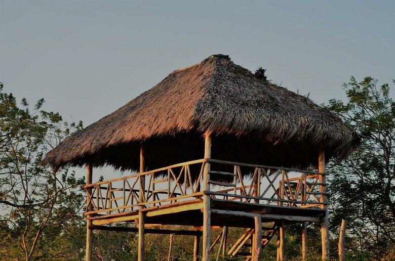 Hotel Treecasa Resort