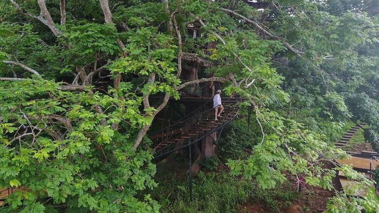 Hotel Treecasa Resort