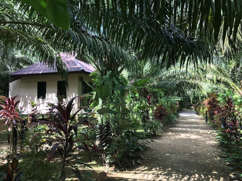 Hotel Khao Sok Palm Garden Resort