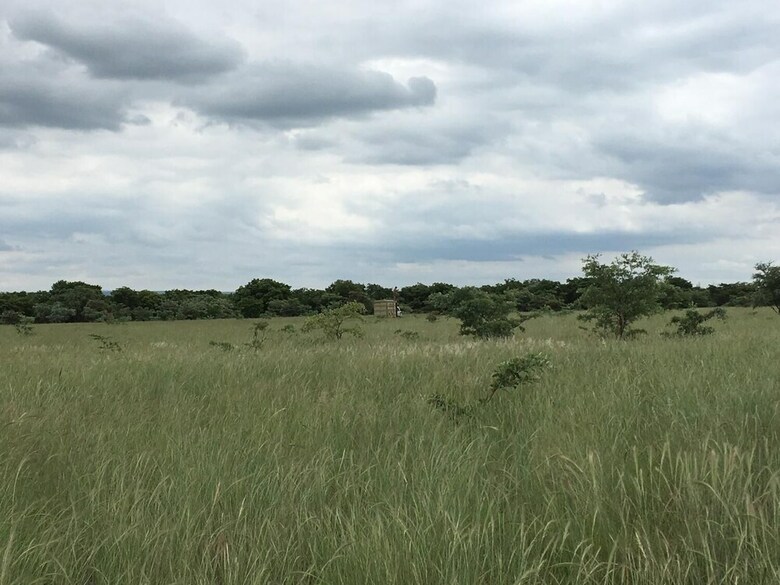 Limpopo Bushveld Retreat