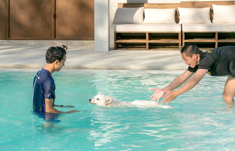 Hotel Pawtel