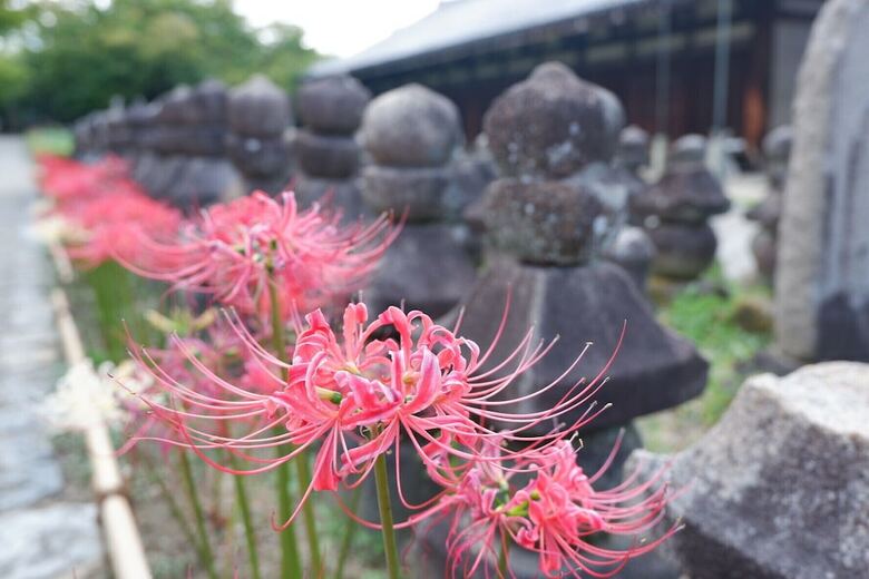 Noborioji Hotel Nara