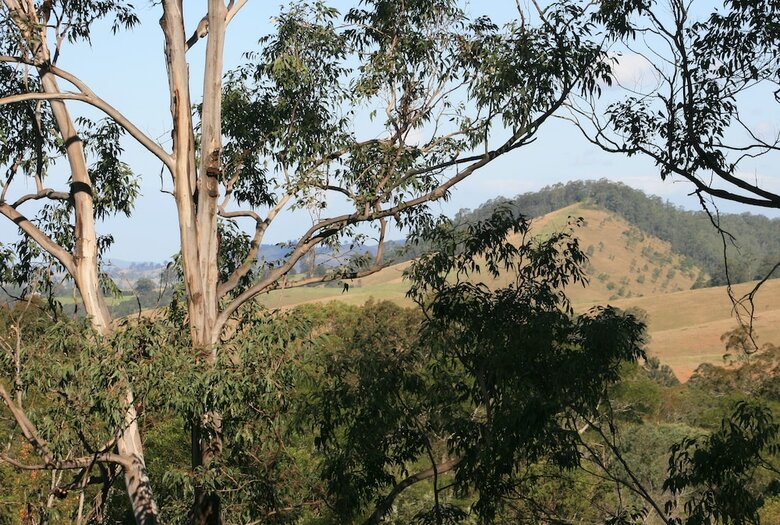 Bluegums Cabins Barrington Tops