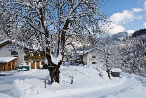 Hotel-gasthof Mauth�usl