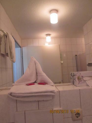 Motel Nichtraucher-hotel Am Park