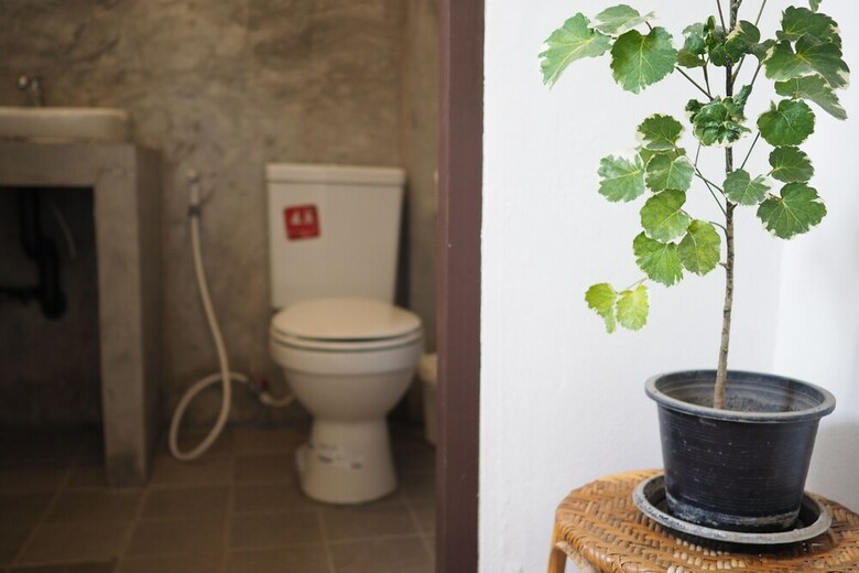 Hostal Nanan House Hostel