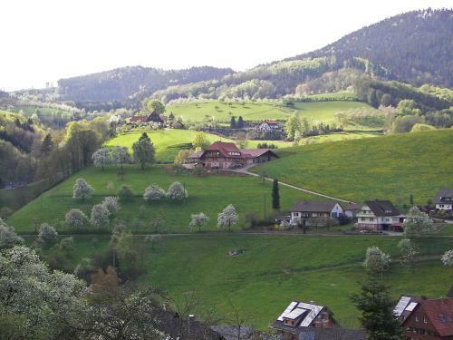 Apartment Oberharmersbach I