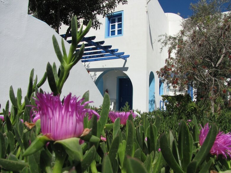 Studio Apartment Perivolos