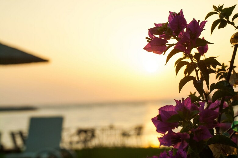 Hotel Kyparissia Blue