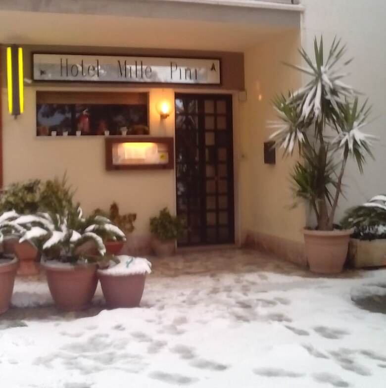 Hotel Mille Pini