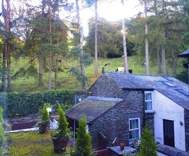 Bed & Breakfast Blenheim Lodge