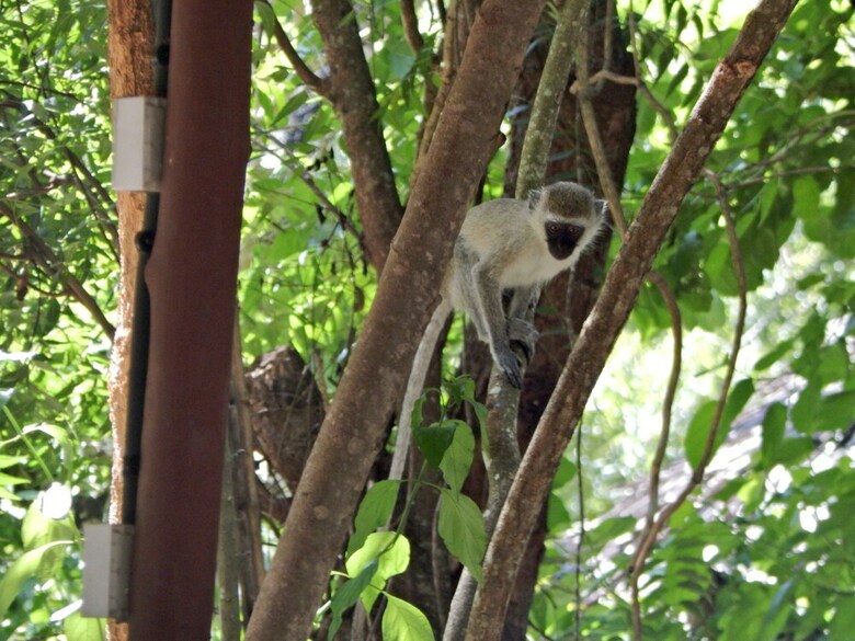 Hotel Kilifi Maghreb