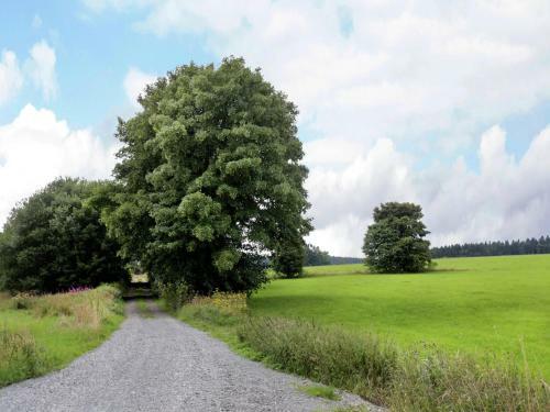 Apartamento Sauerland Appartementen