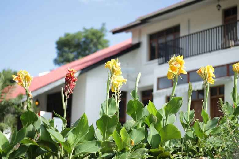 Hotel Boulevard Inn Mt Meru