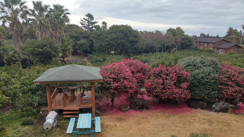 Pension Jeju Yazawon