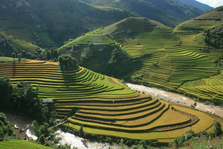 Sapa Village Hotel
