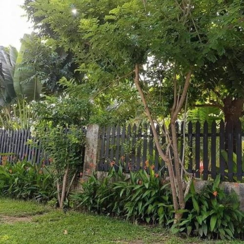 Hotel Hana Resort & Bungalow