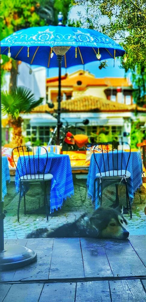 Hotel Afet Han?m Kona?? Ala�at?