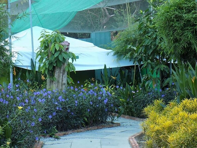 T Garden