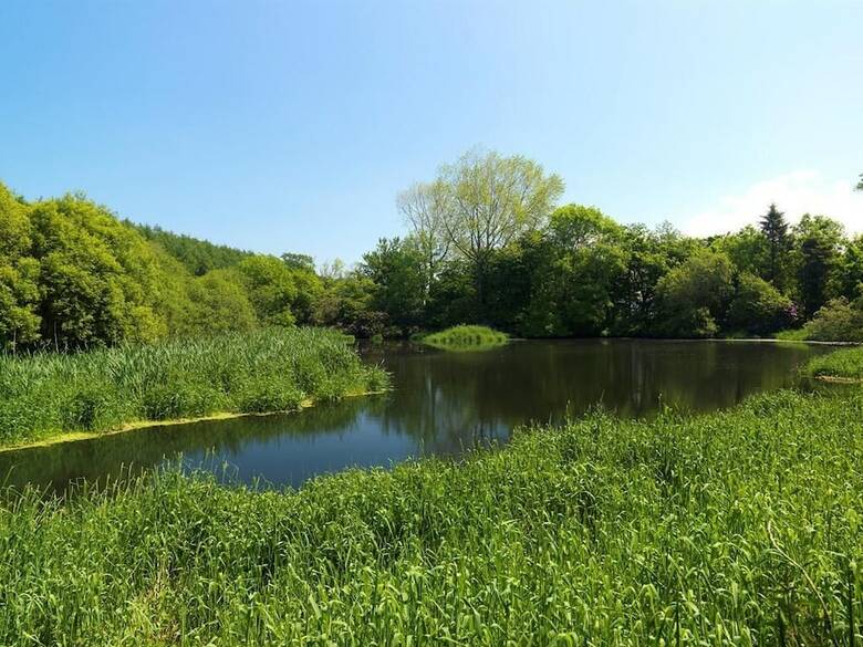 Bed & Breakfast Noyadd Trefawr