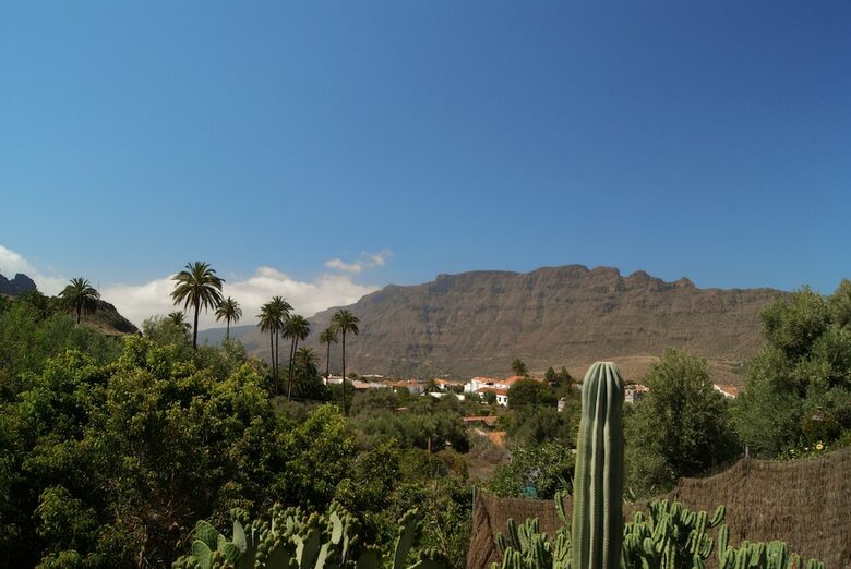 Apartamentos El Olivar - Almazara