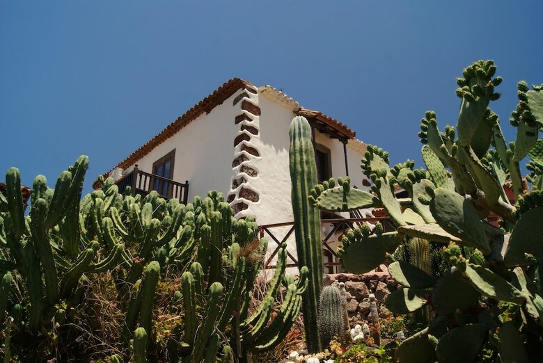 Apartamentos El Olivar - Almazara