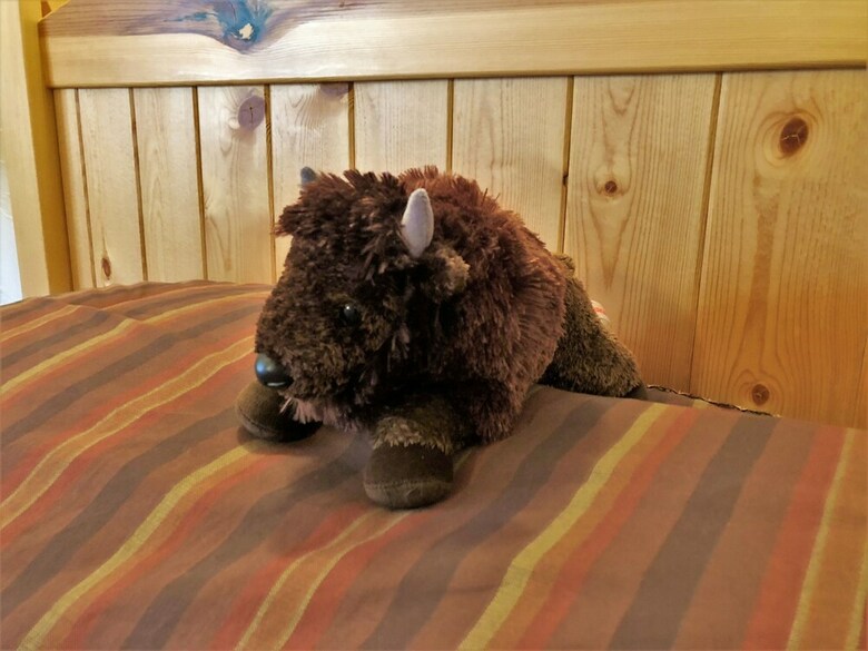 Kilgore Mountain Hideaway B&B