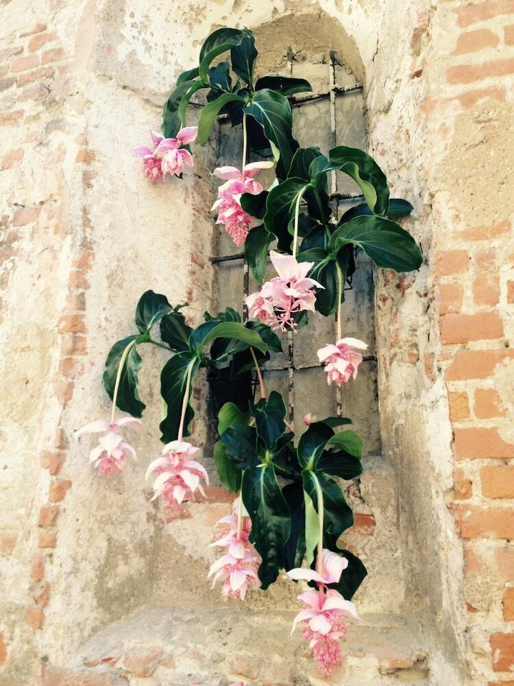 Apartamento Mood Siro Comi