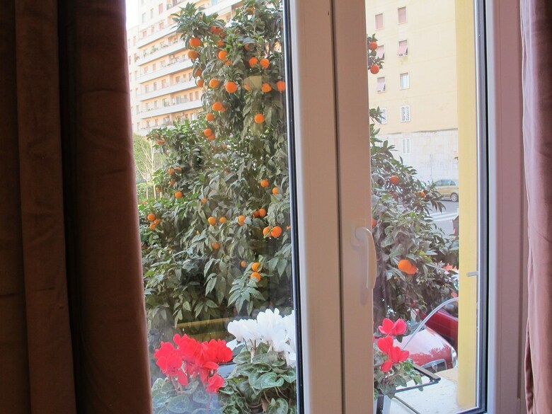 Hotel Your Vatican Suite