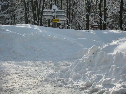 Hostal Gasthof Zum �sterntor